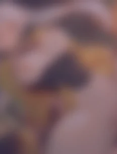 Frieren hentai ai lvl5 preview 3