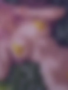 Fujiwara Chika hentai ai lvl4 preview 2