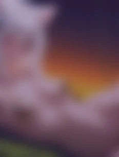 Toujou Koneko hentai ai lvl4 preview 1