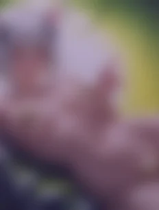 Toujou Koneko hentai ai lvl4 preview 2