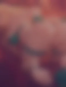 Princess Zelda hentai ai lvl5 preview 2
