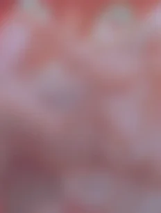 Shiro hentai ai lvl4 preview 1