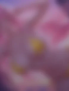 Lala Satalin Deviluke hentai ai lvl4 preview 1