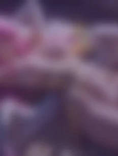 Jibril hentai ai lvl5 preview 1