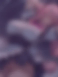 Shuna hentai ai lvl4 preview 1