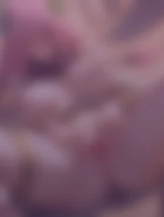 Shuna hentai ai lvl5 preview 3