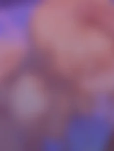 Nakiri Erina hentai ai lvl5 preview 2